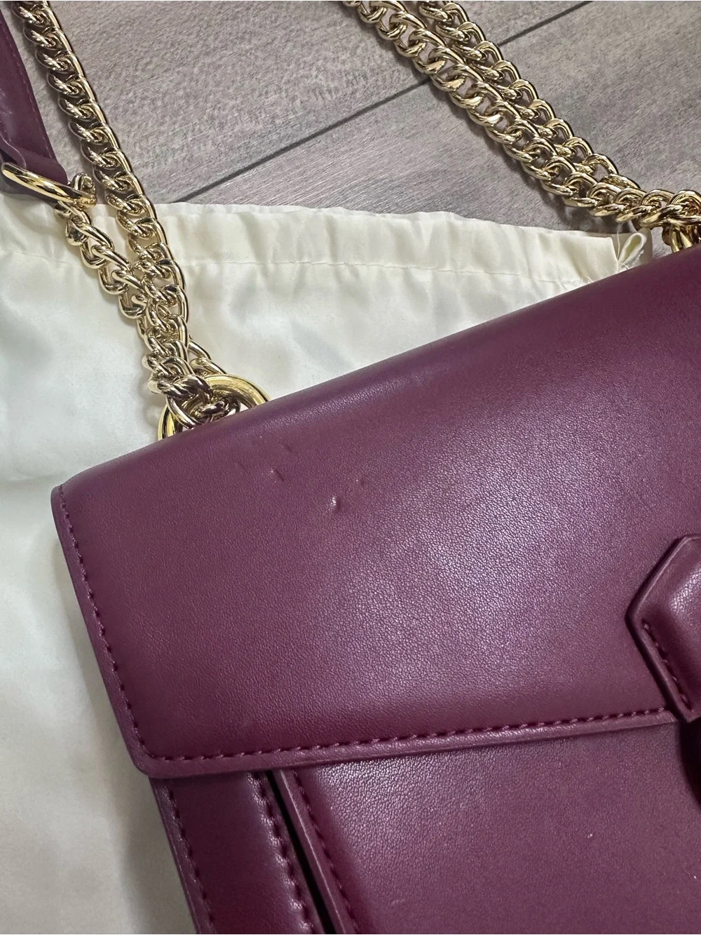 JW PEI Plum Crossbody Bag with Gold Chain Hardware